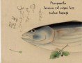 /album/egyeb-haikuk/torkom-kaparja-jpg/